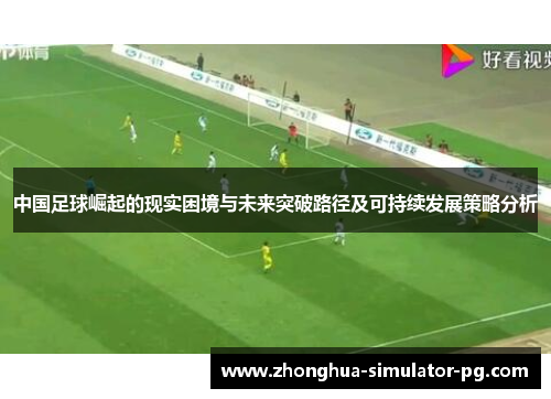中国足球崛起的现实困境与未来突破路径及可持续发展策略分析