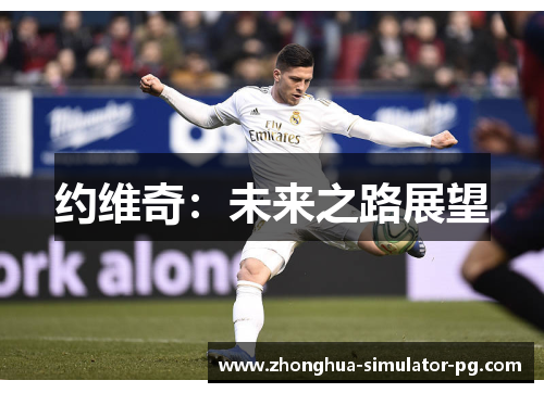 约维奇:未来之路展望 约维奇:未来之路展望